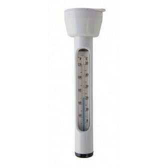 Intex thermometer